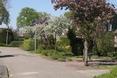 ONTP wegafsluiting Middenveldweg