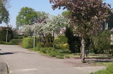 ONTP wegafsluiting Middenveldweg